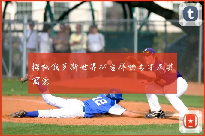 揭秘俄罗斯世界杯吉祥物名字及其寓意