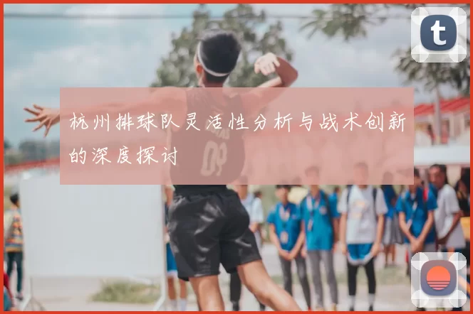 杭州排球队灵活性分析与战术创新的深度探讨