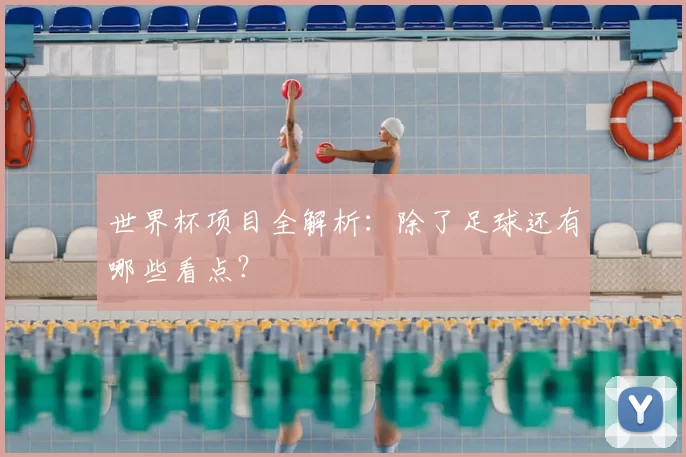 世界杯项目全解析:除了足球还有哪些看点?
