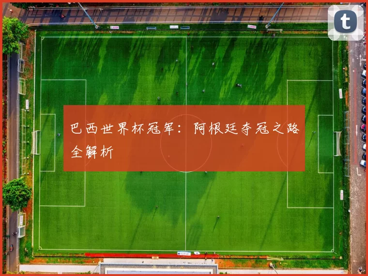 巴西世界杯冠军:阿根廷夺冠之路全解析