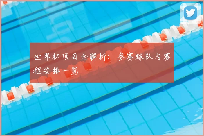 世界杯项目全解析:参赛球队与赛程安排一览