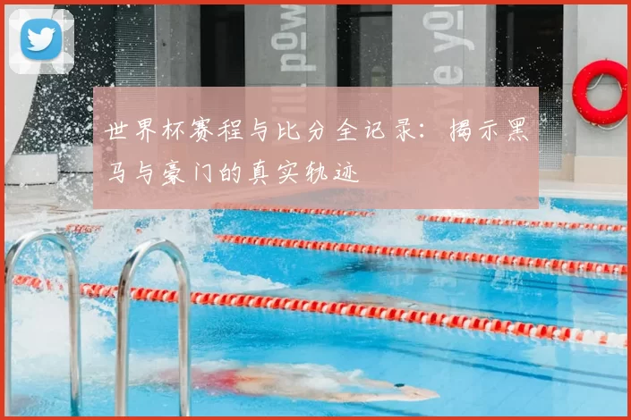 世界杯赛程与比分全记录:揭示黑马与豪门的真实轨迹