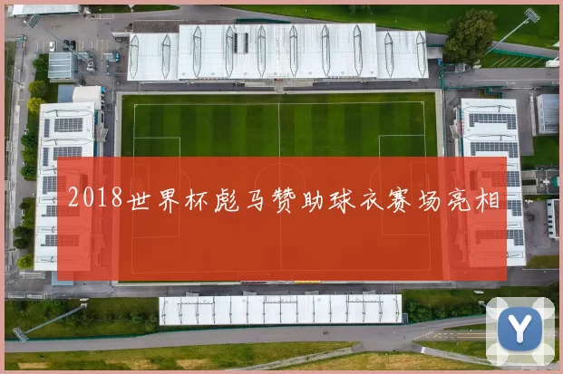 2018世界杯彪马赞助球衣赛场亮相