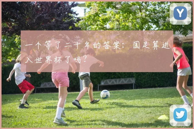 一个等了二十年的答案:国足算进入世界杯了吗?