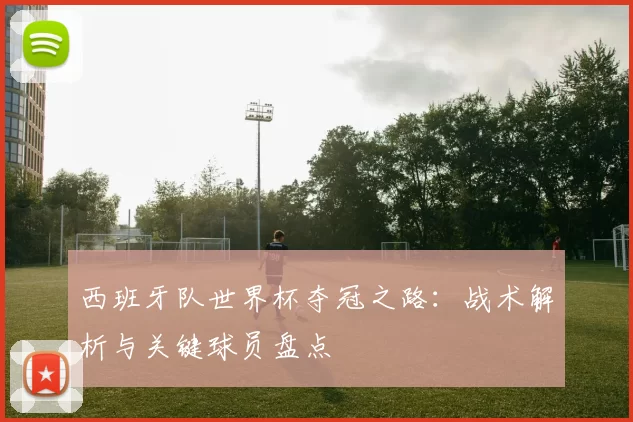 西班牙队世界杯夺冠之路:战术解析与关键球员盘点
