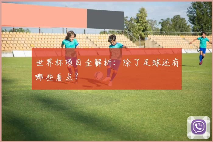 世界杯项目全解析:除了足球还有哪些看点?